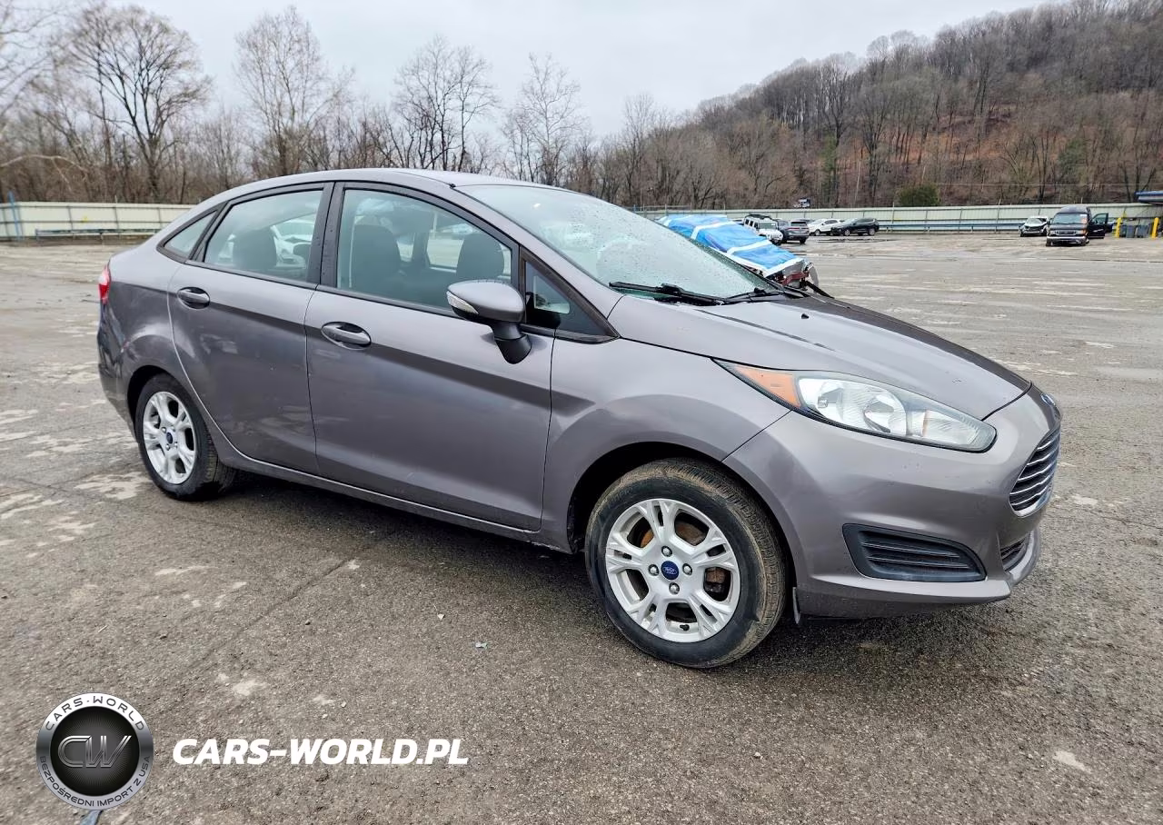 2014 Ford Fiesta Se VIN:3FADP4BJ7EM159814 - 4