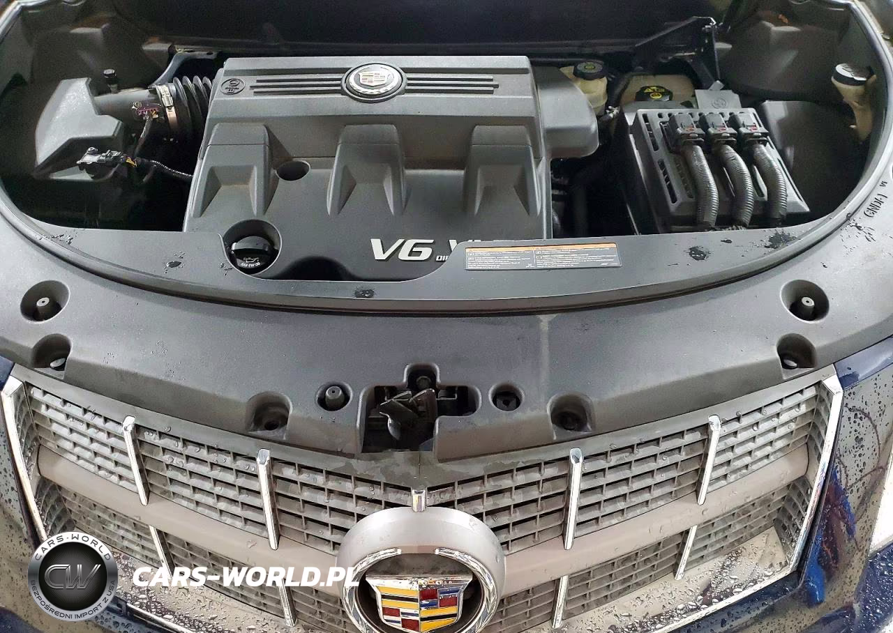 2011 Cadillac Srx Luxury Collection VIN:3GYFNDEY3BS645717 - 11