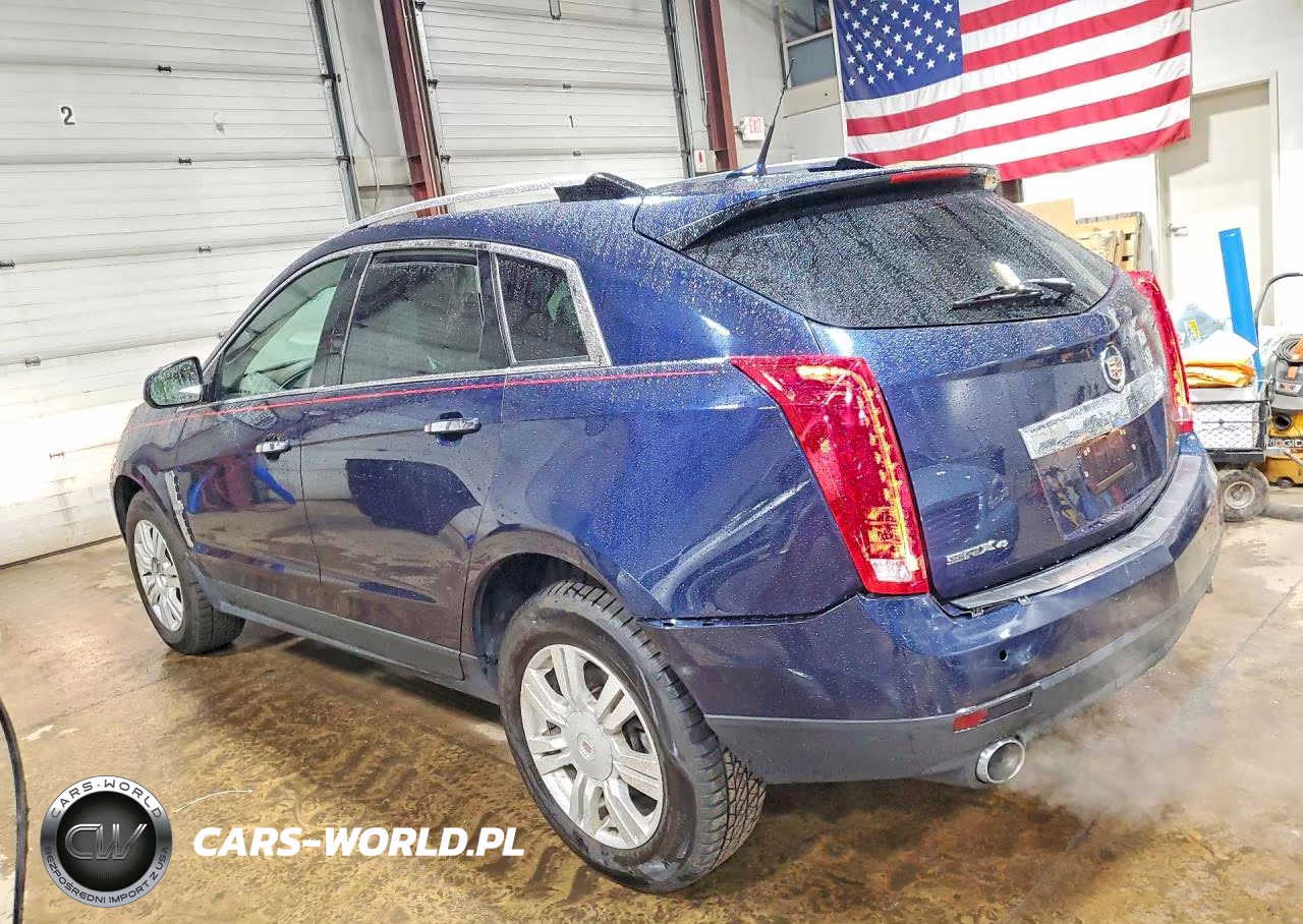 2011 Cadillac Srx Luxury Collection VIN:3GYFNDEY3BS645717 - 2