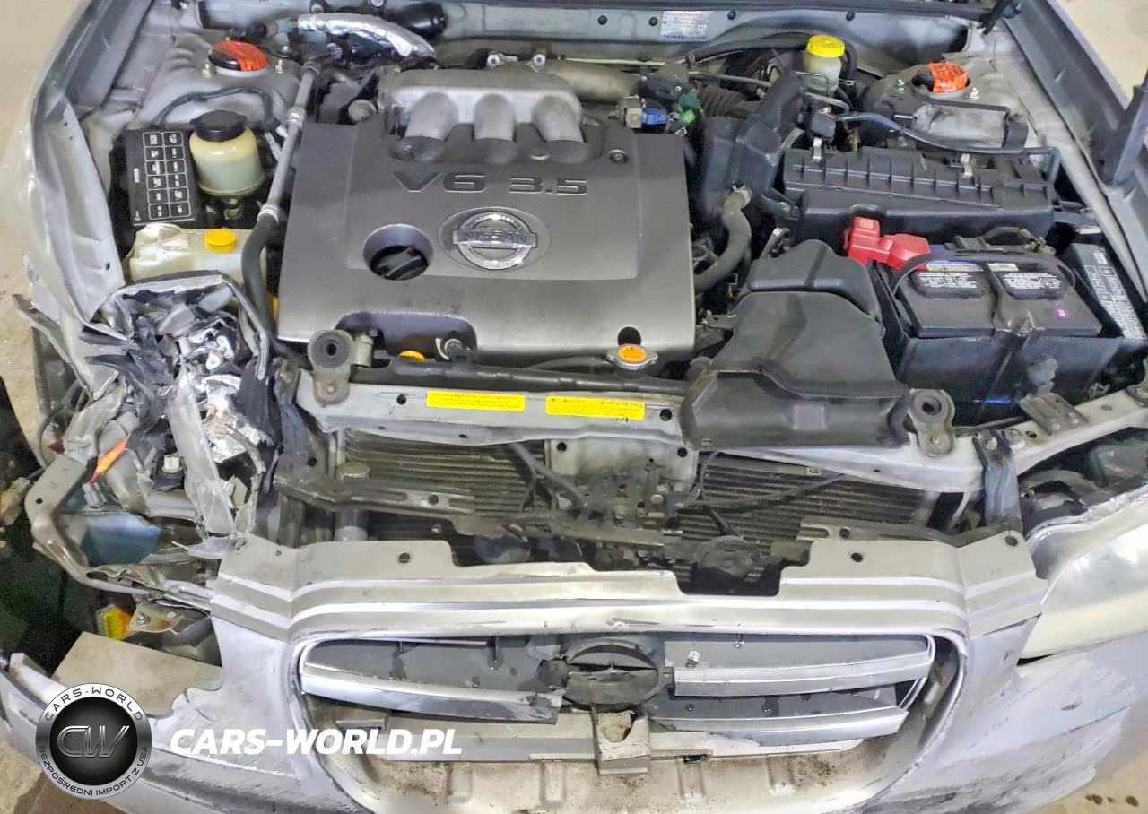 2002 Nissan Maxima Gxe VIN:JN1DA31D22T424785 - 11