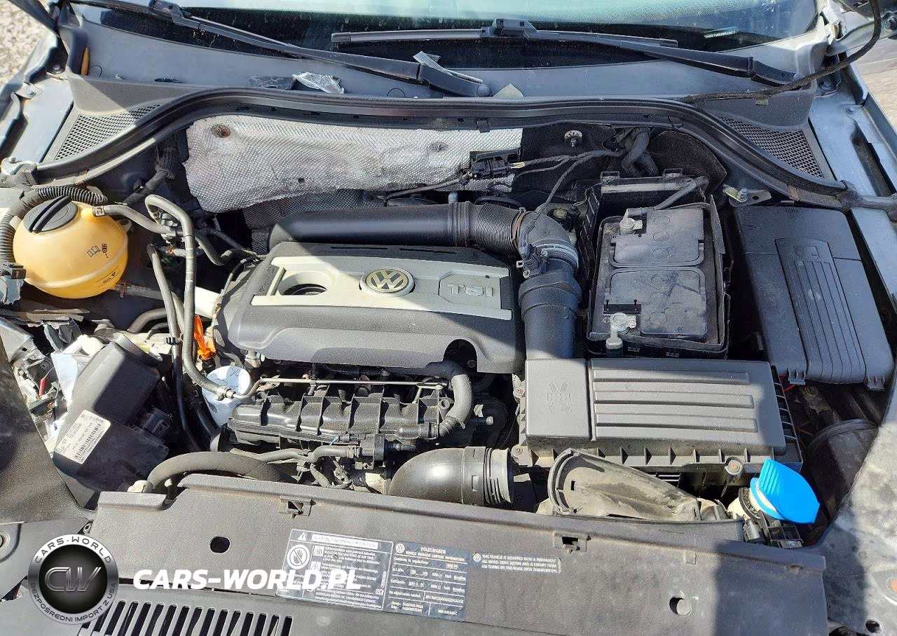 2009 Volkswagen Tiguan Se VIN:WVGBV75NX9W520977 - 11