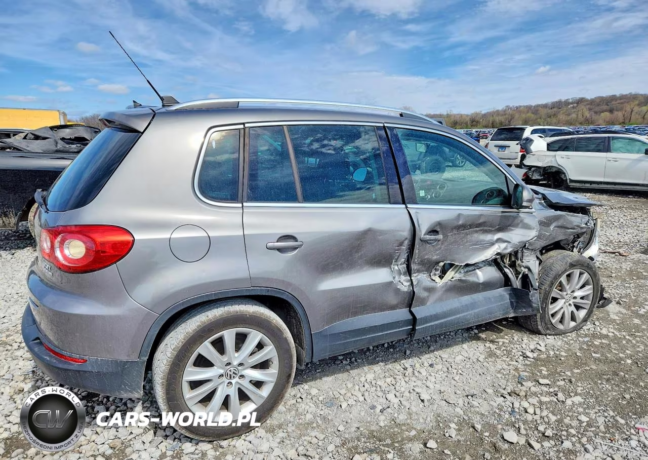 2009 Volkswagen Tiguan Se VIN:WVGBV75NX9W520977 - 3