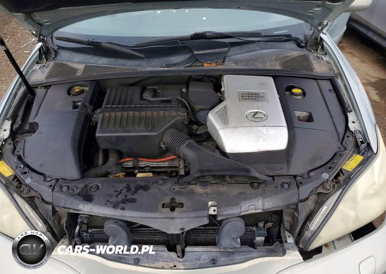 2006 Lexus Rx 400H Base VIN:JTJHW31U060004611 - 11