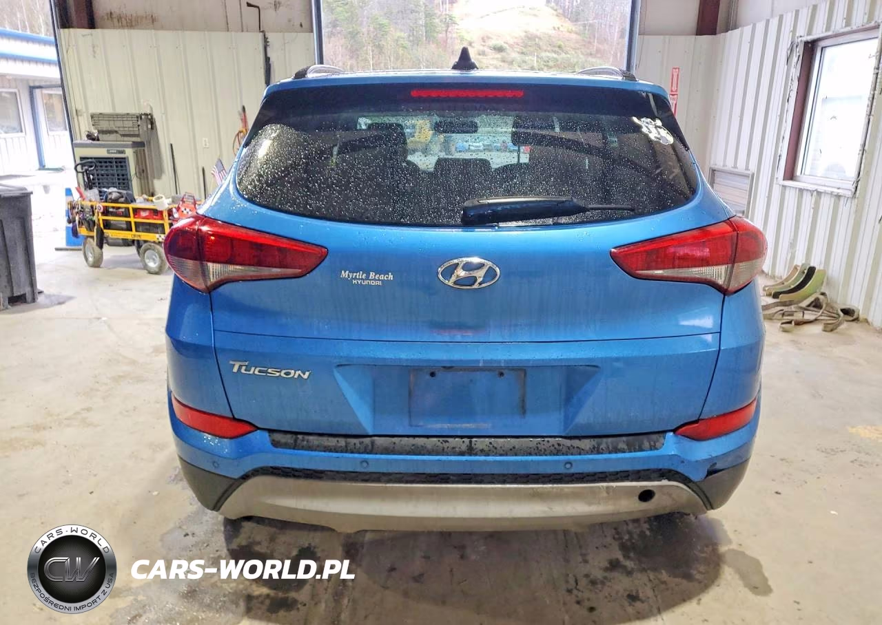 2018 Hyundai Tucson Value VIN:KM8J33A21JU696340 - 6