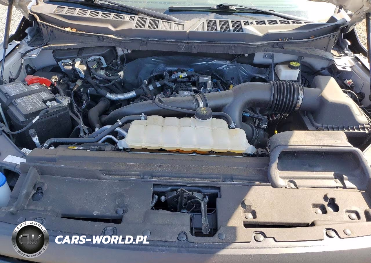 2024 Ford F150 Xl VIN:1FTMF1KP9RKD74026 - 11