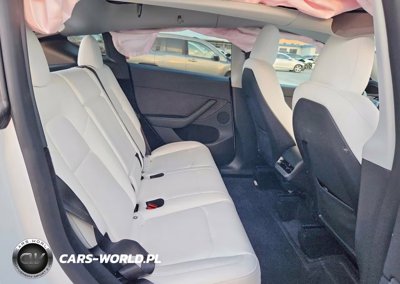 2024 Tesla Model Y VIN:7SAYGDEE1RA272906 - 10