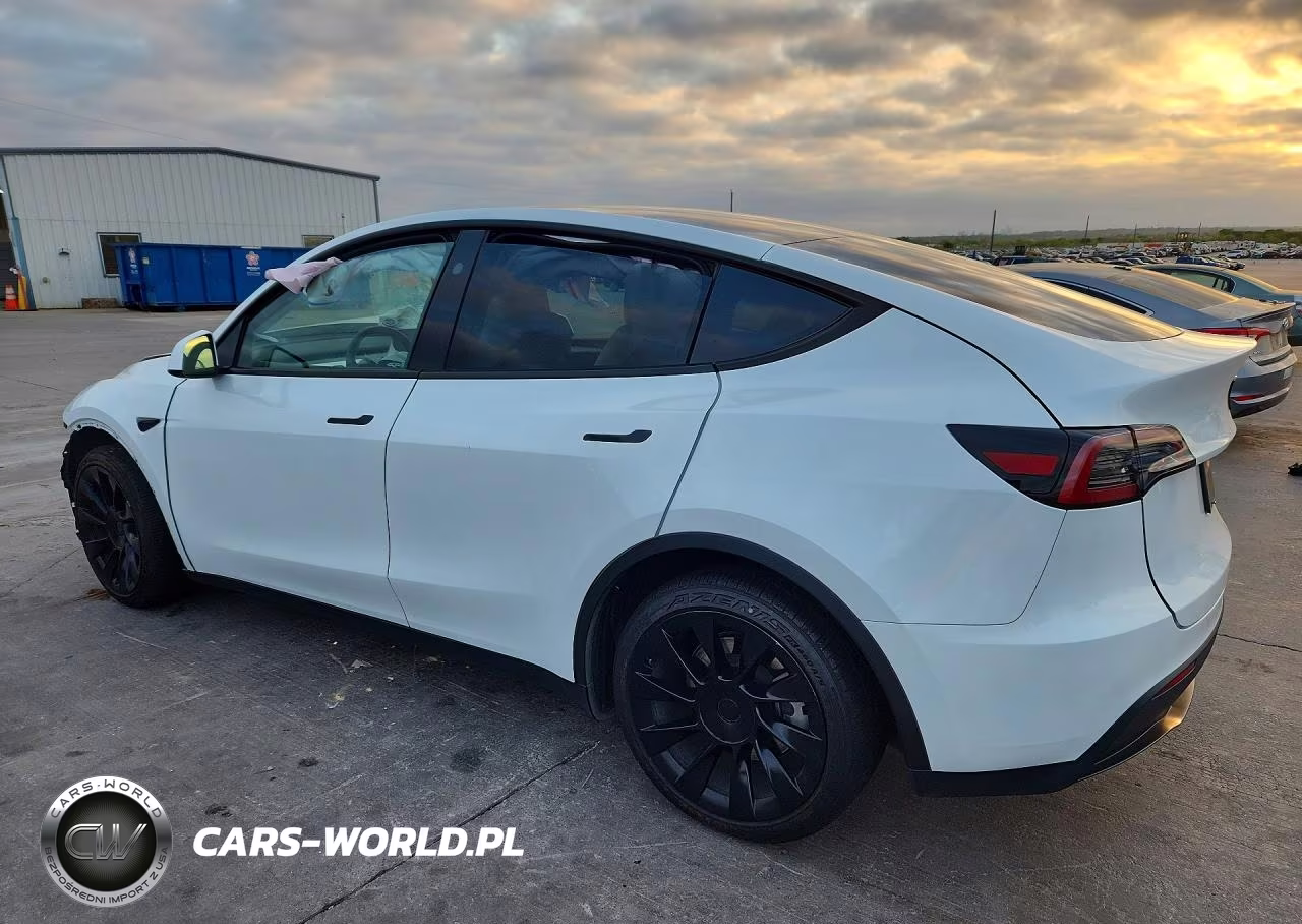 2024 Tesla Model Y VIN:7SAYGDEE1RA272906 - 2