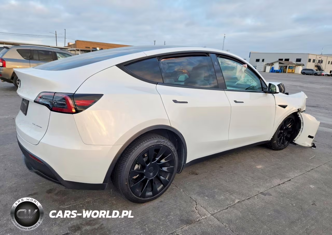 2024 Tesla Model Y VIN:7SAYGDEE1RA272906 - 3