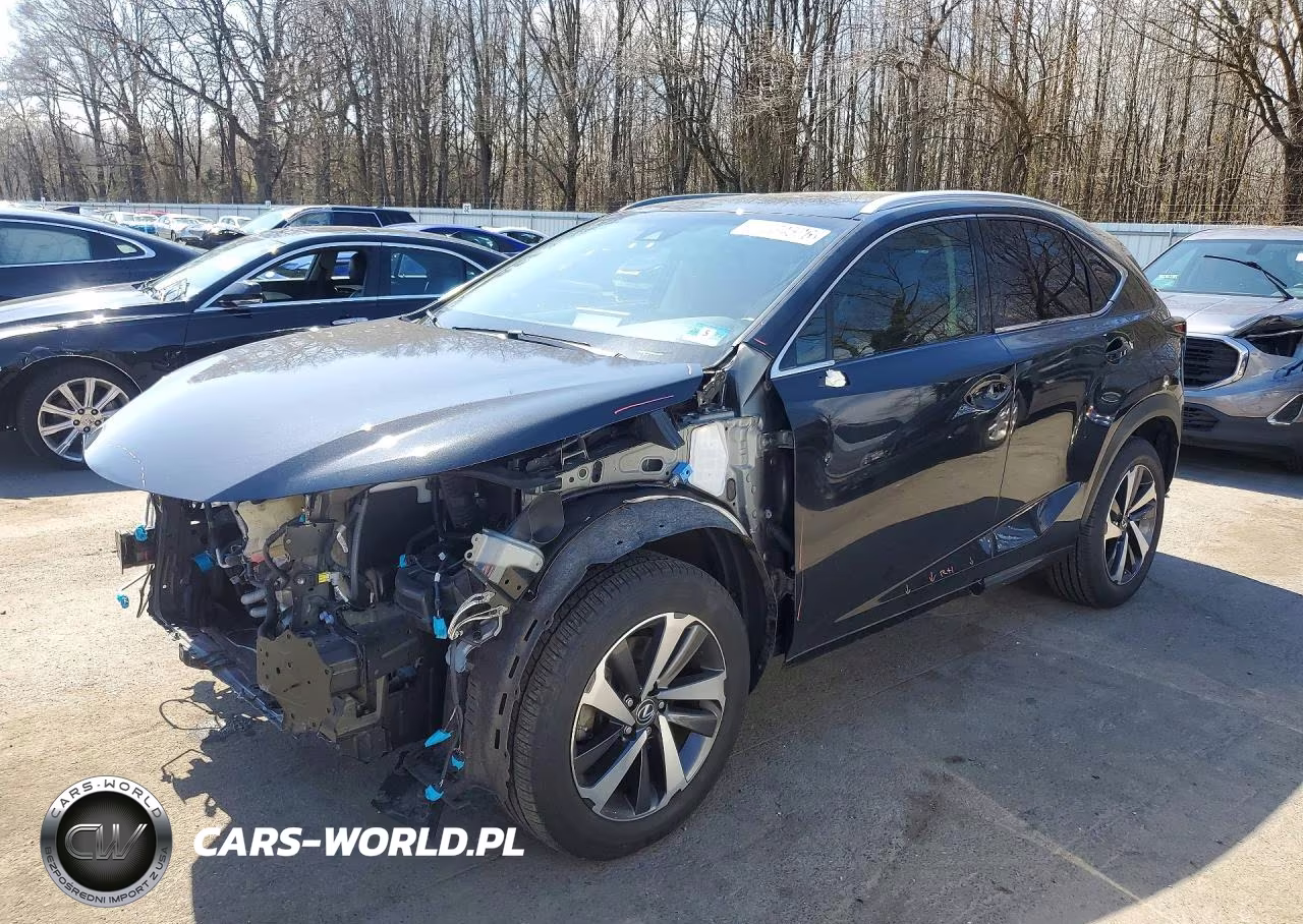 2019 Lexus Nx 300 Base