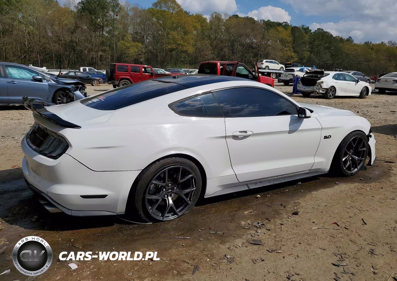 2018 Ford Mustang Gt VIN:1FA6P8CF8J5105951 - 3