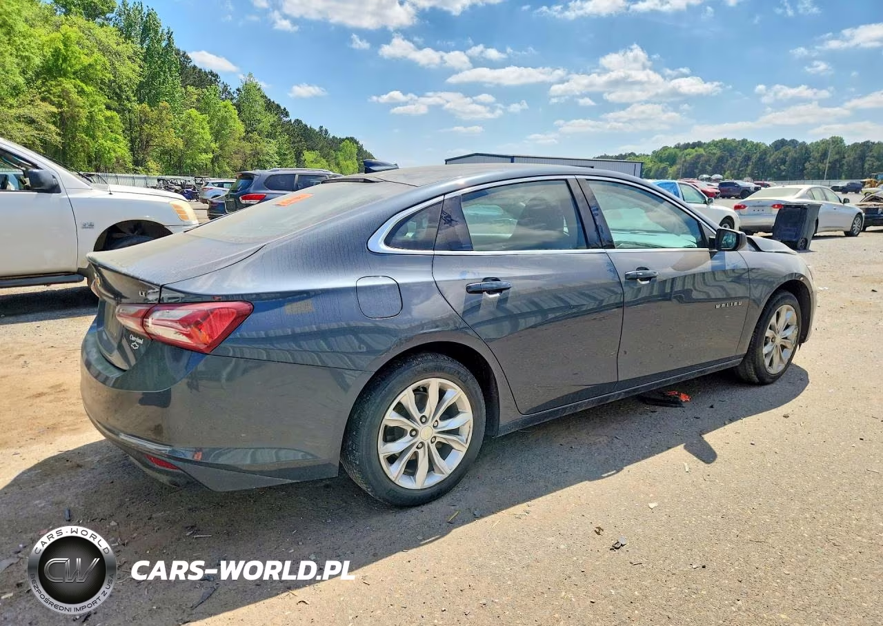 2019 Chevrolet Malibu Lt VIN:1G1ZD5ST9KF164775 - 3