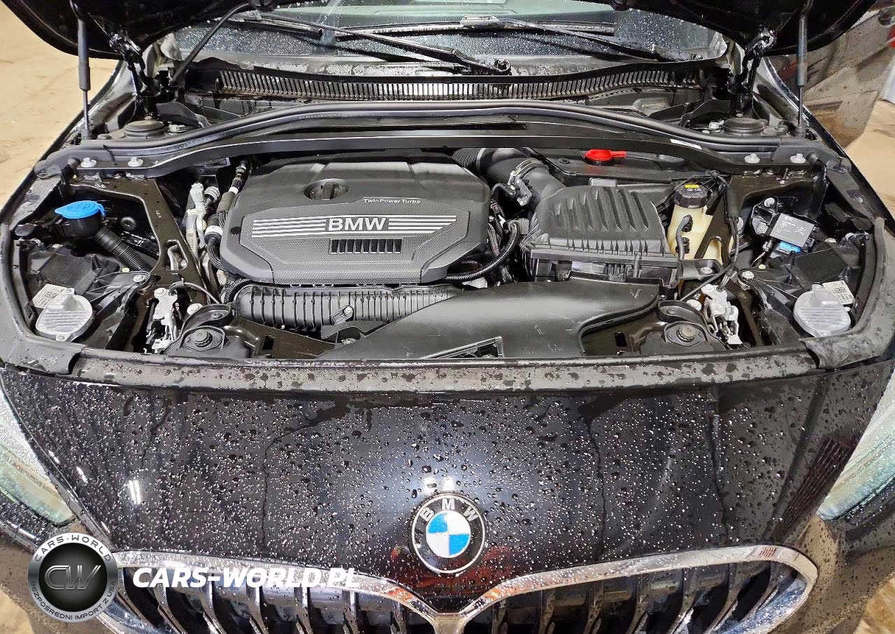 2021 BMW 228Xi VIN:WBA73AK05M7G69872 - 11