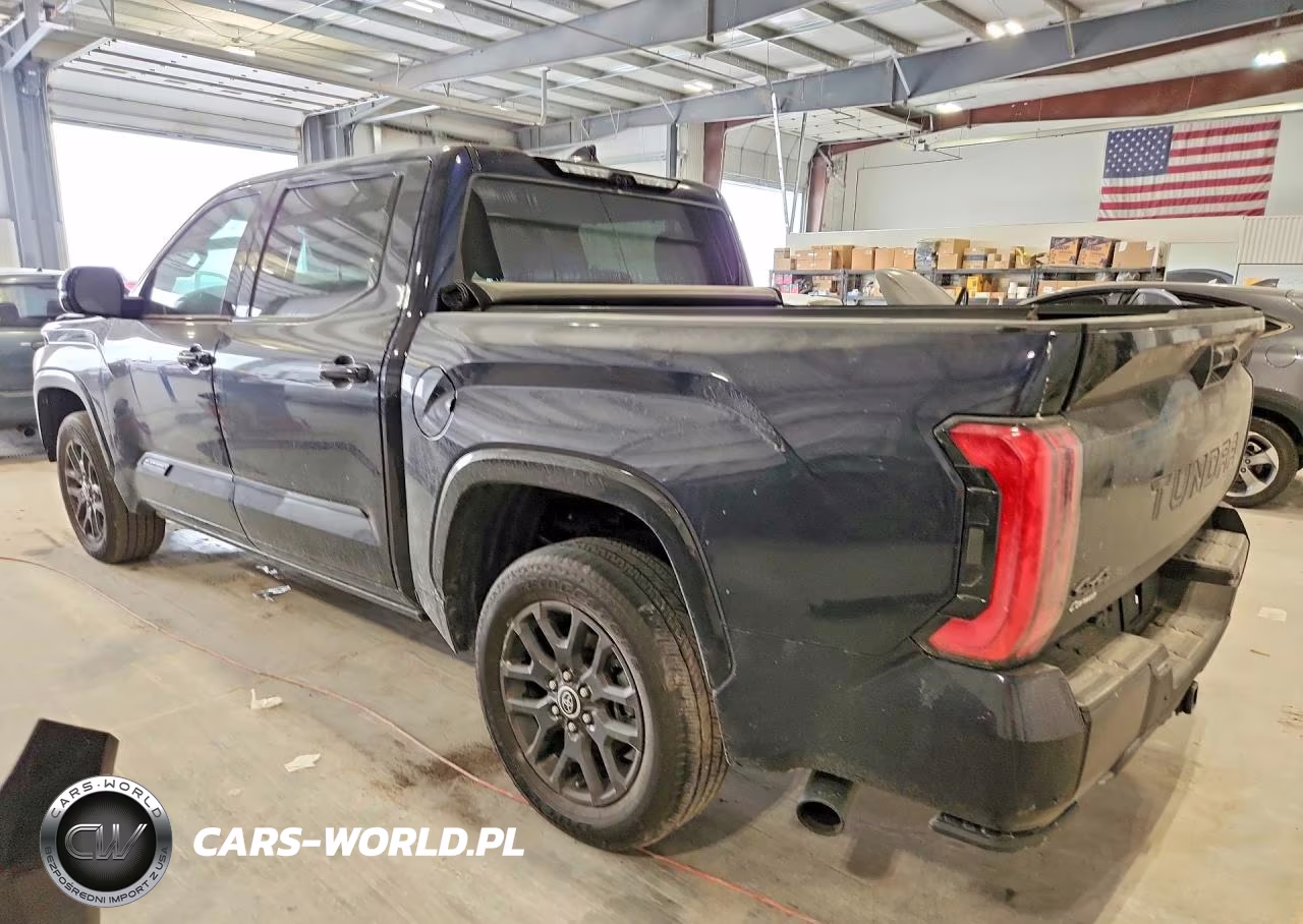 2023 Toyota Tundra Platinum VIN:5TFNA5DB9PX097826 - 2