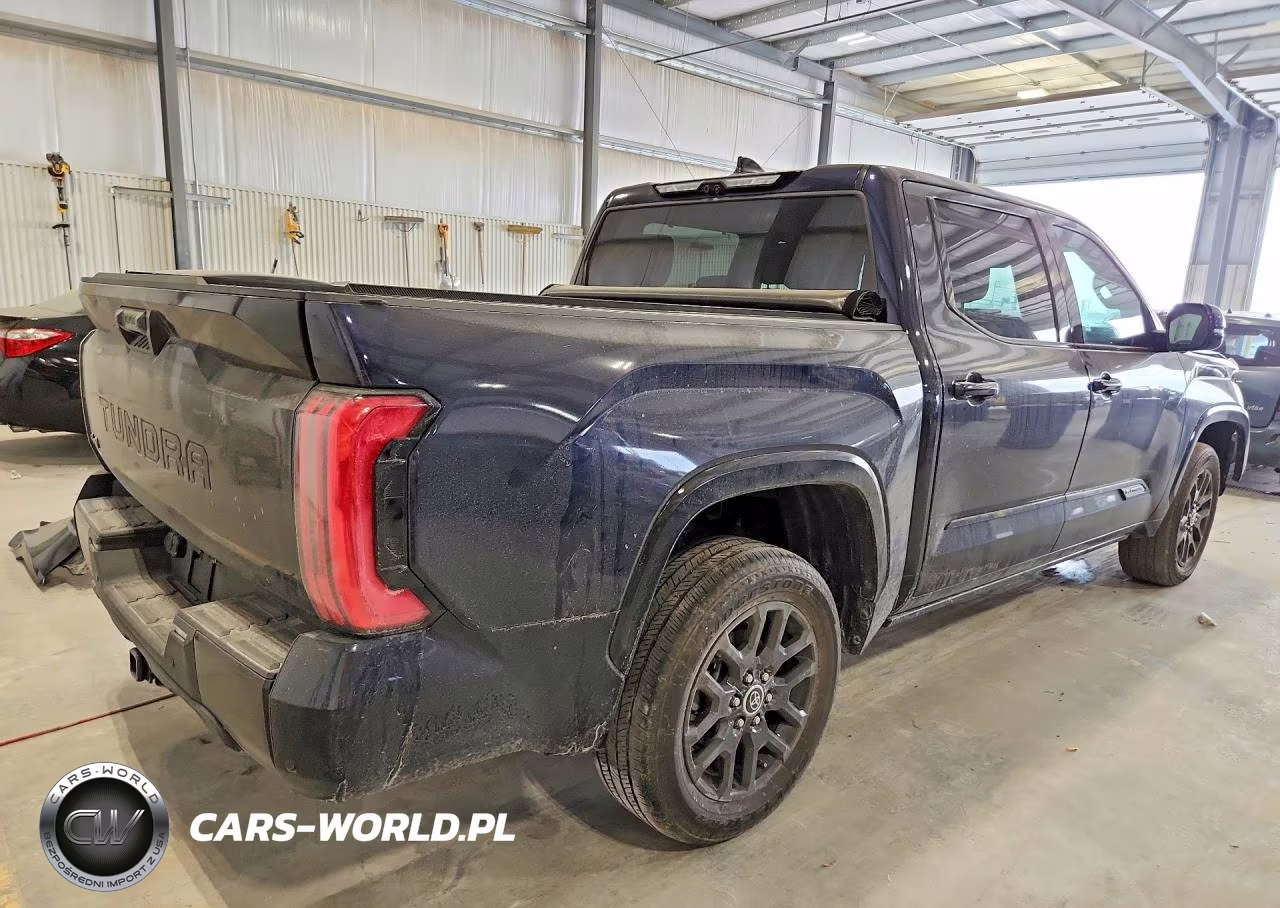 2023 Toyota Tundra Platinum VIN:5TFNA5DB9PX097826 - 3