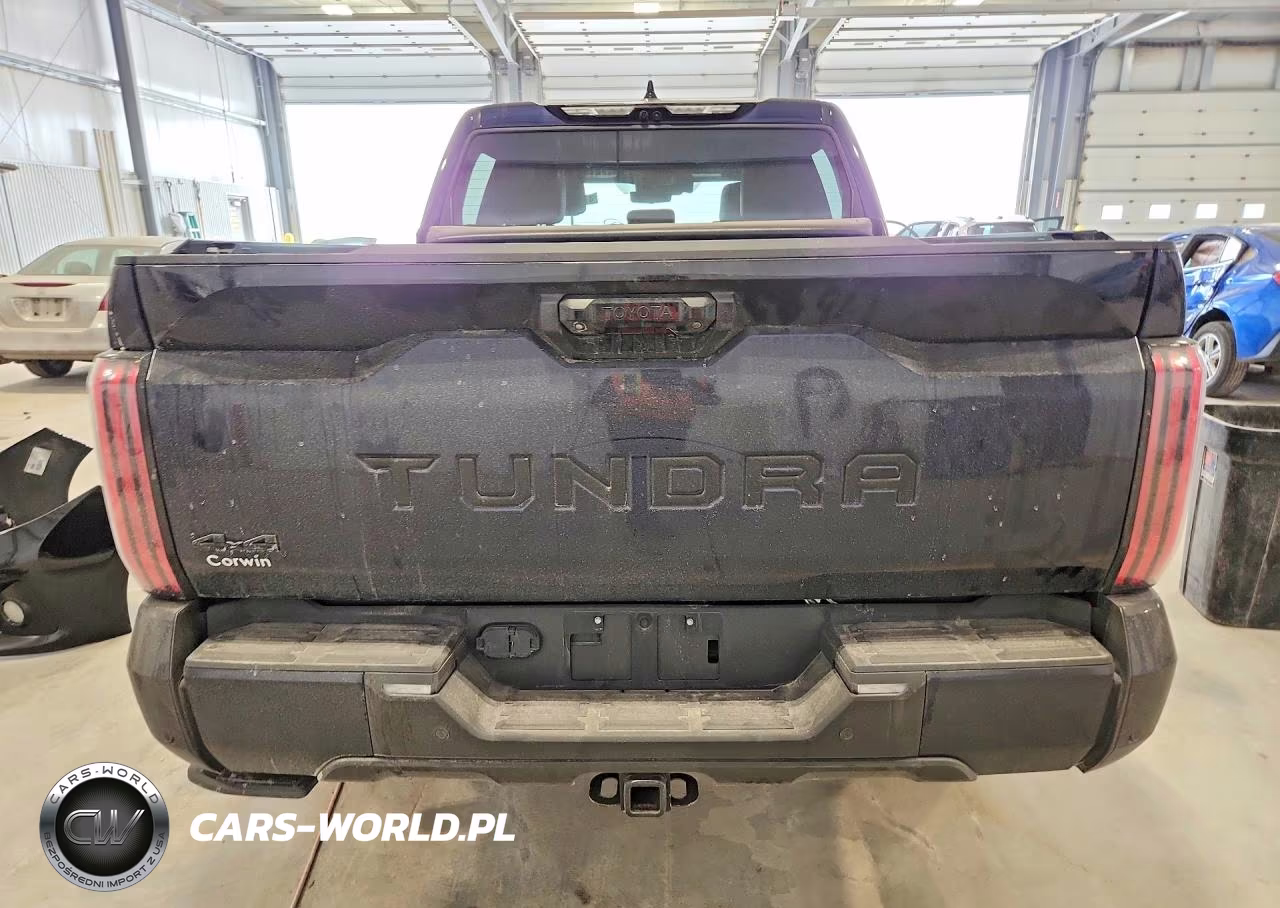 2023 Toyota Tundra Platinum VIN:5TFNA5DB9PX097826 - 6