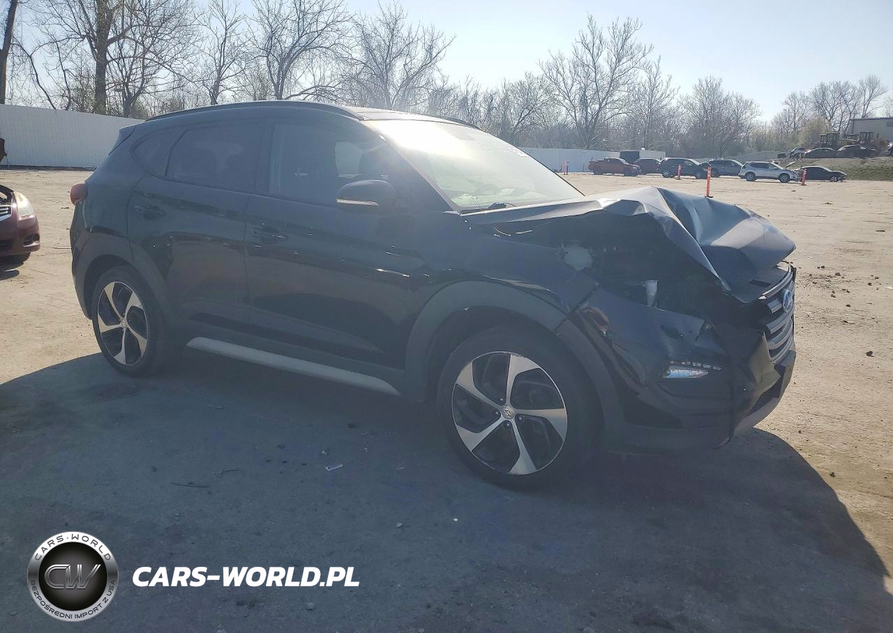 2017 Hyundai Tucson Value VIN:KM8J33A26HU549263 - 4