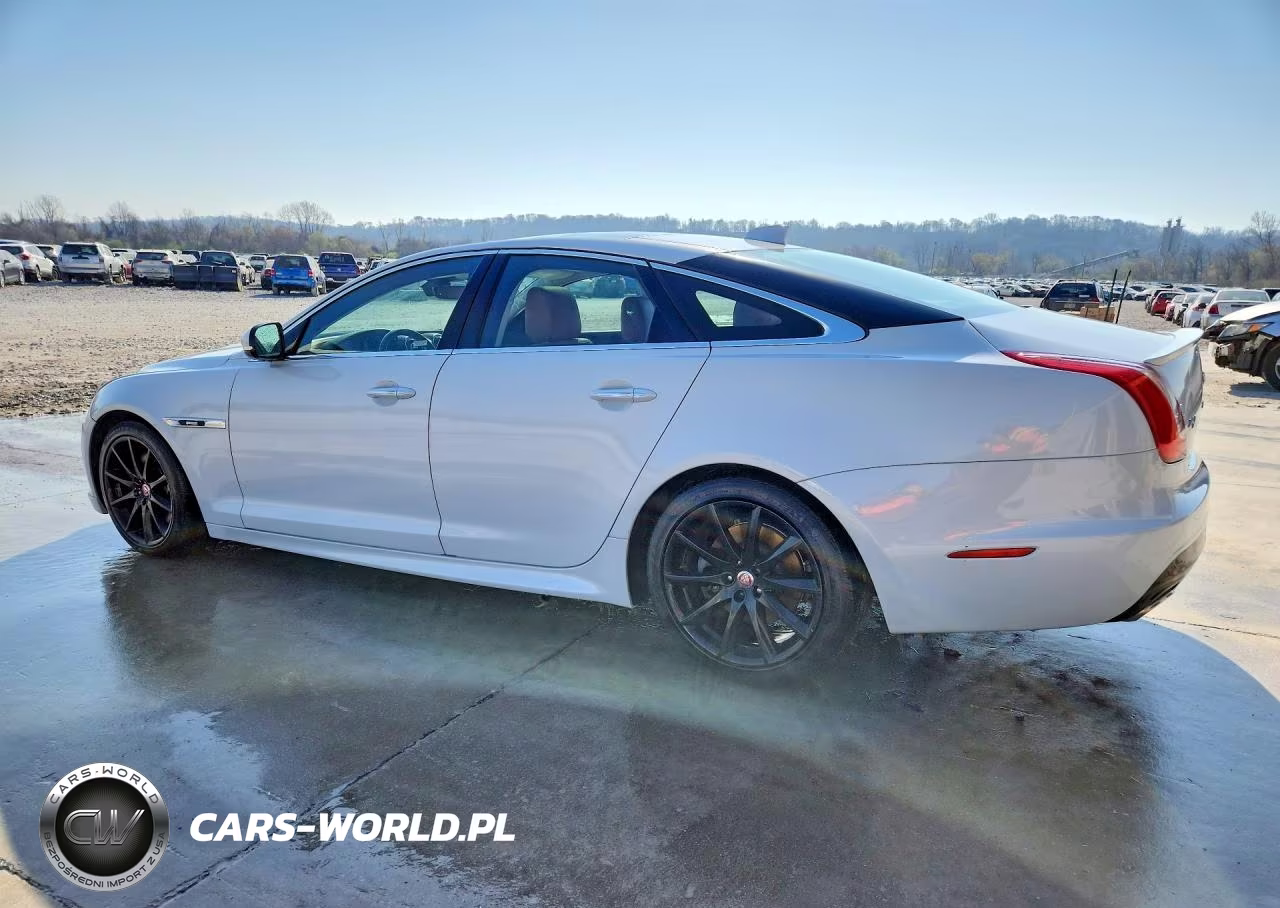 2019 Jaguar Xj R - Sport VIN:SAJXJ1CD0K8W20336 - 2