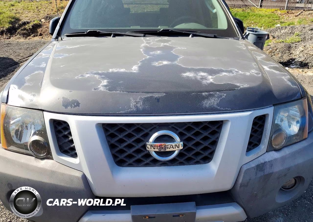 2010 Nissan Xterra X VIN:5N1AN0NW8AC511793 - 11
