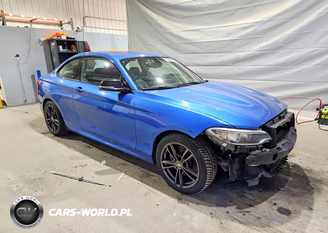 2016 BMW M235Xi VIN:WBA1J9C54GV696000 - 4