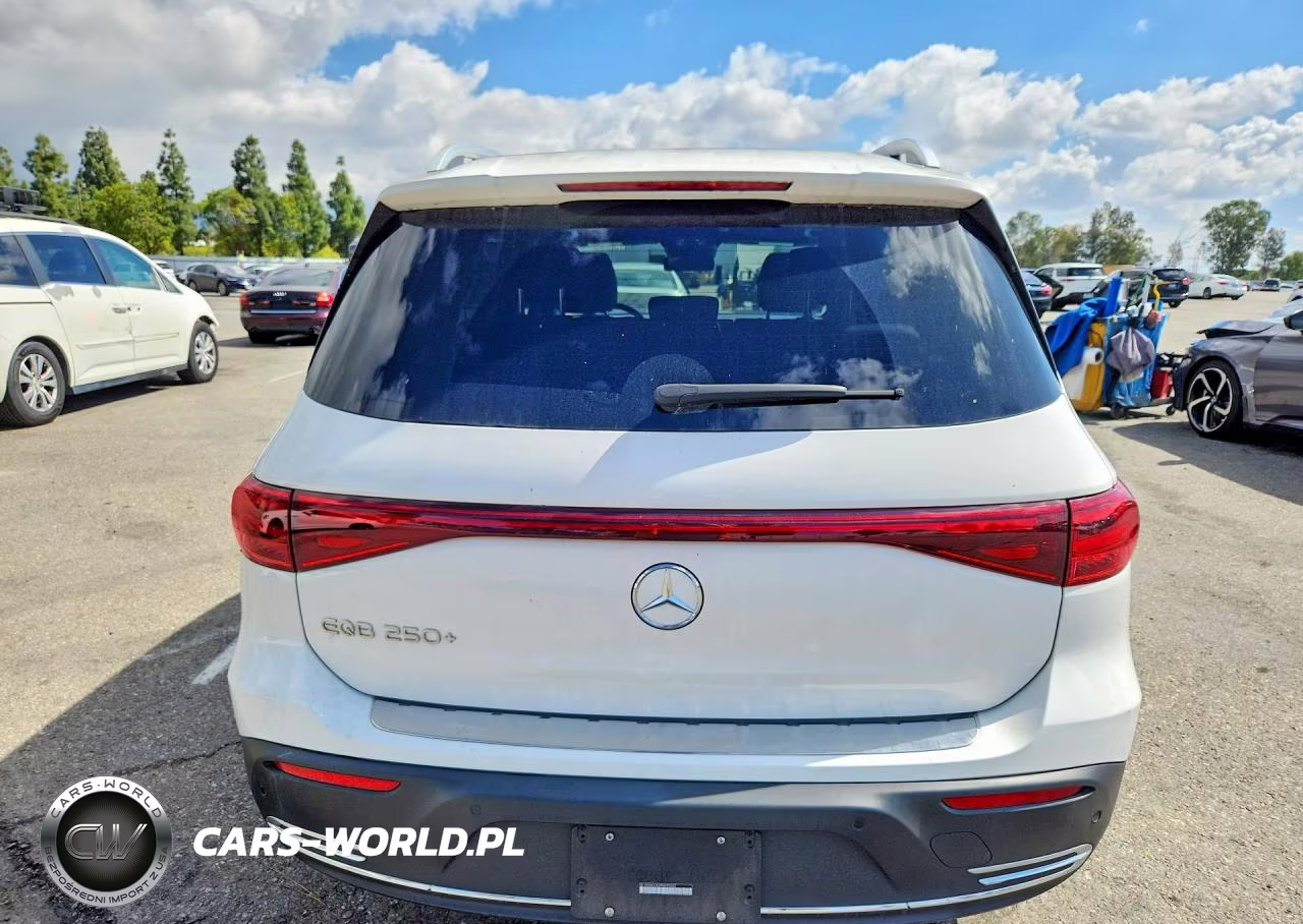 2024 Mercedes-Benz Eqb 250+ VIN:W1N9M0CB2RN092052 - 6