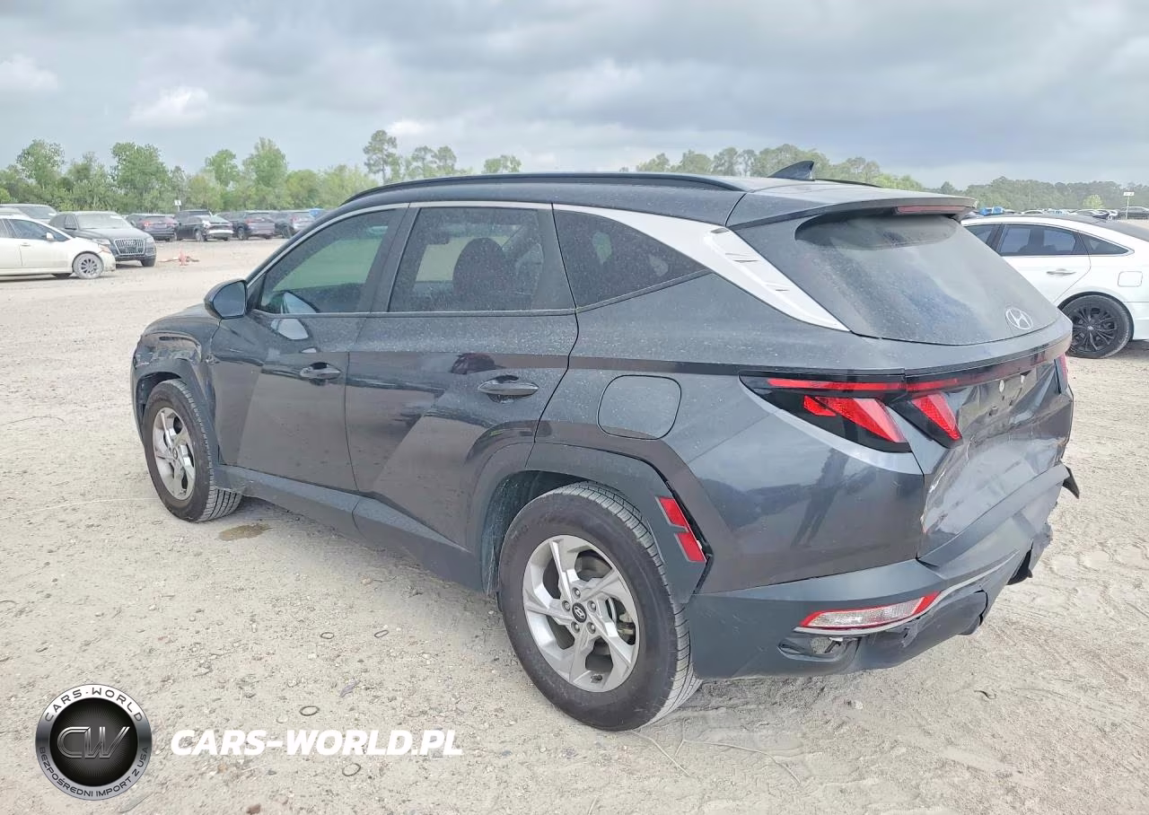 2024 Hyundai Tucson Sel VIN:5NMJB3DE1RH326375 - 2