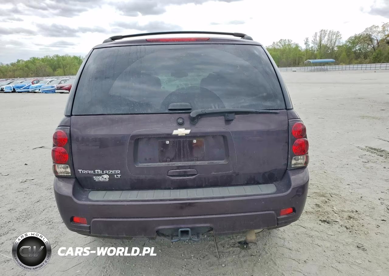 2008 Chevrolet Trailblazer Ls VIN:1GNDT13SX82172474 - 6