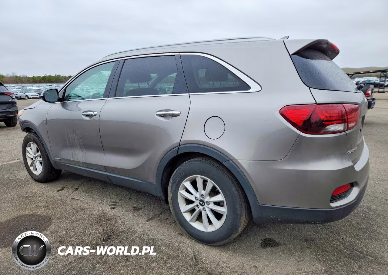 2019 Kia Sorento Lx VIN:5XYPGDA35KG436138 - 2