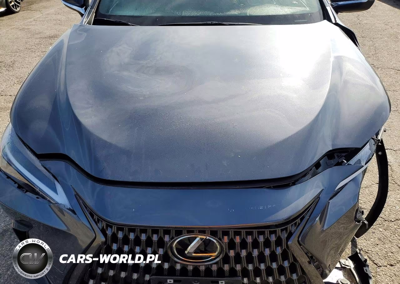 2022 Lexus Nx 350H Base VIN:JTJAKCEZ6N5005430 - 12