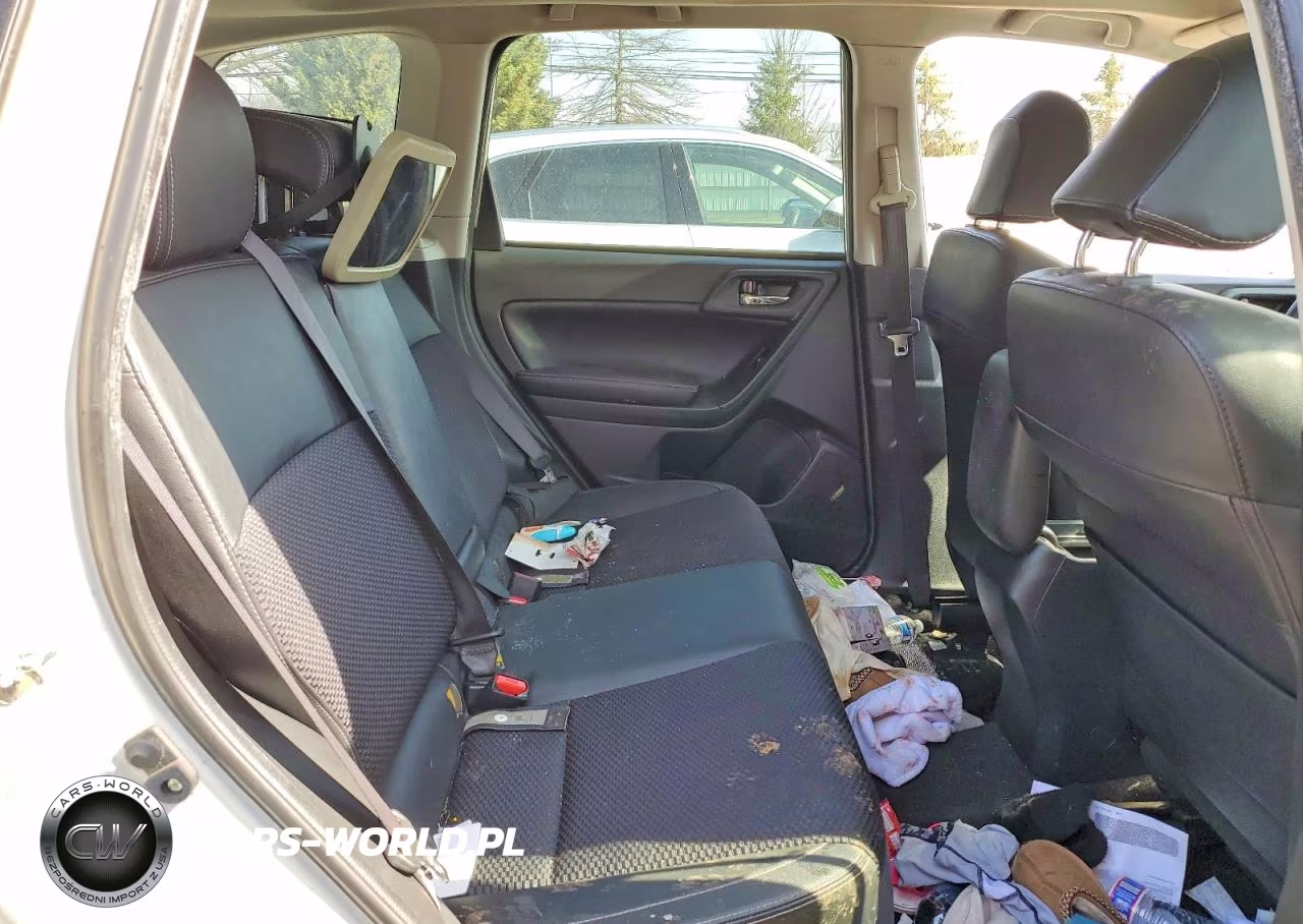 2018 Subaru Forester 2.5I Premium VIN:JF2SJAEC6JH480435 - 10