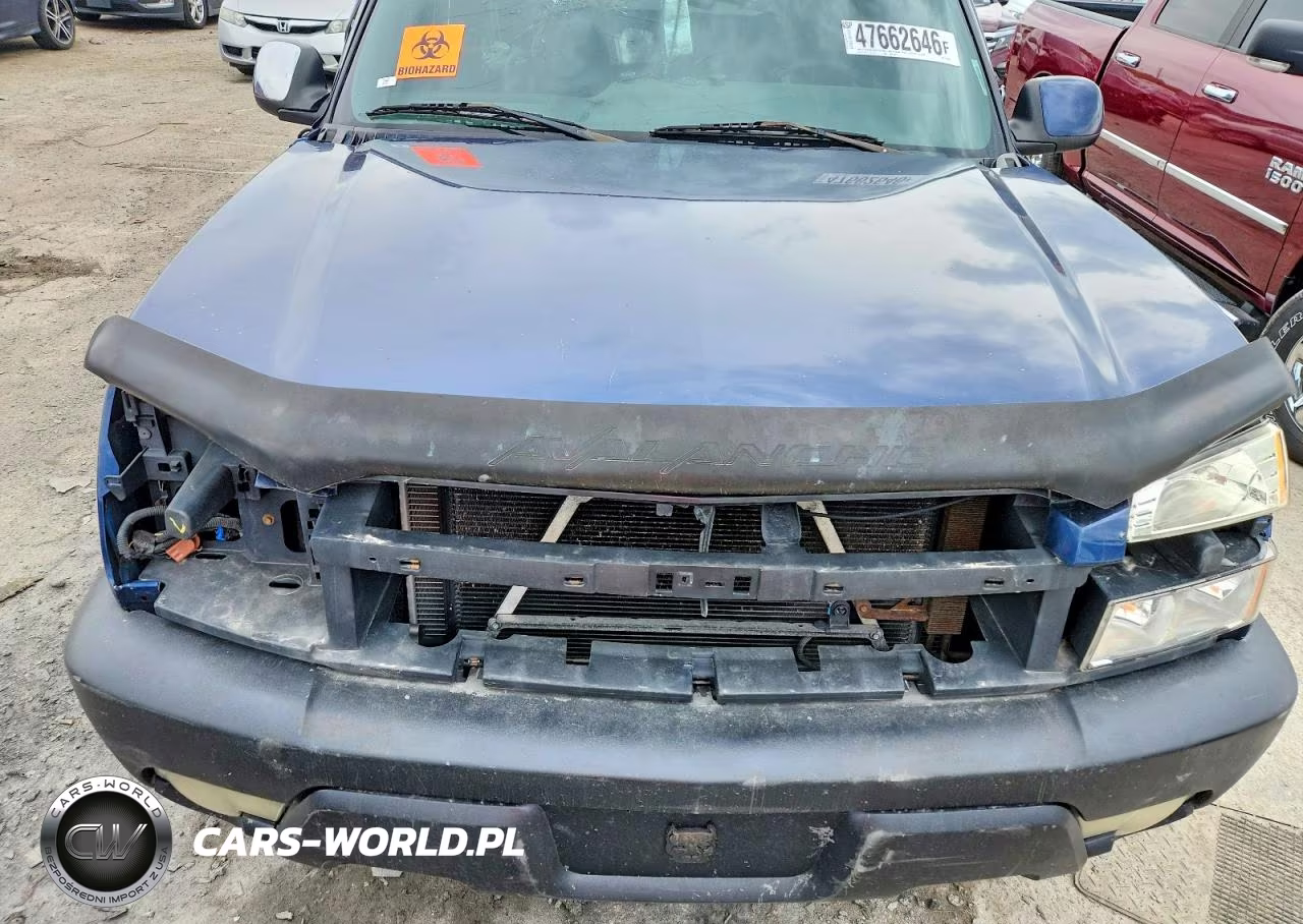 2002 Chevrolet Avalance VIN:3GNEC13T22G187952 - 11