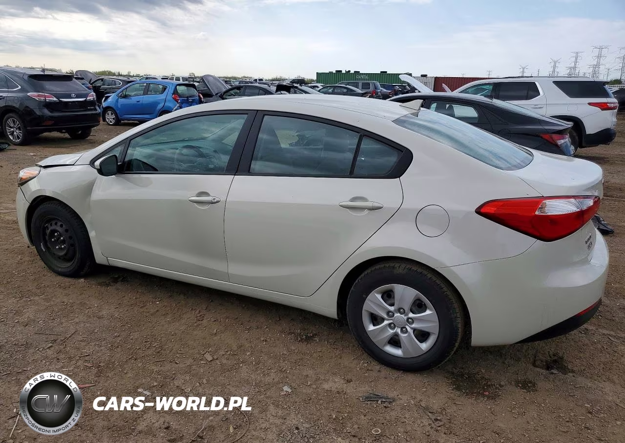 2014 Kia Forte Lx VIN:KNAFK4A69E5115816 - 2