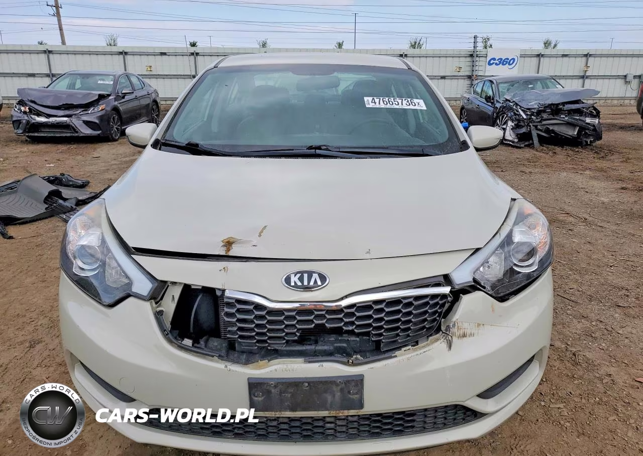 2014 Kia Forte Lx VIN:KNAFK4A69E5115816 - 5