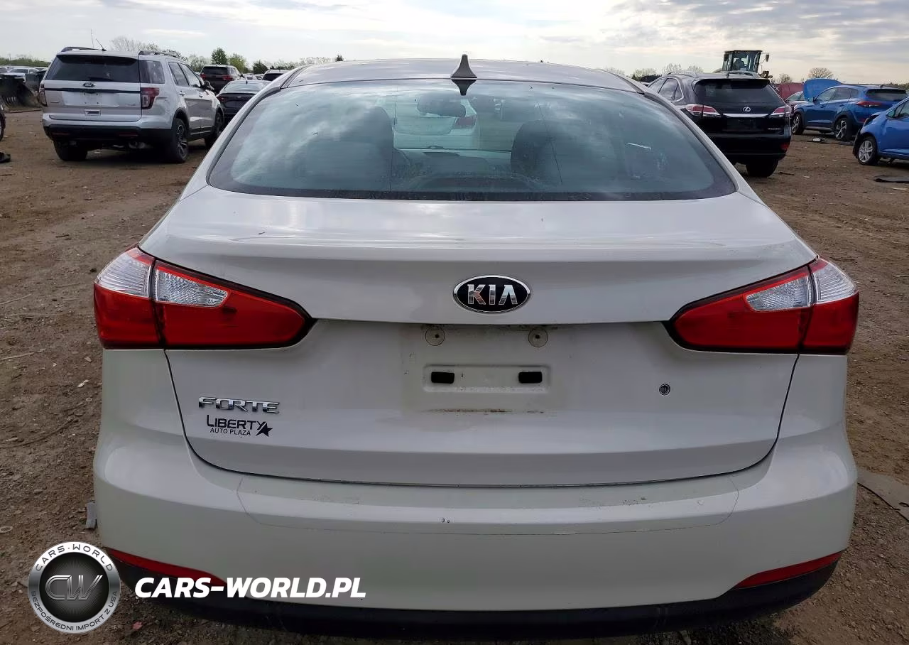 2014 Kia Forte Lx VIN:KNAFK4A69E5115816 - 6