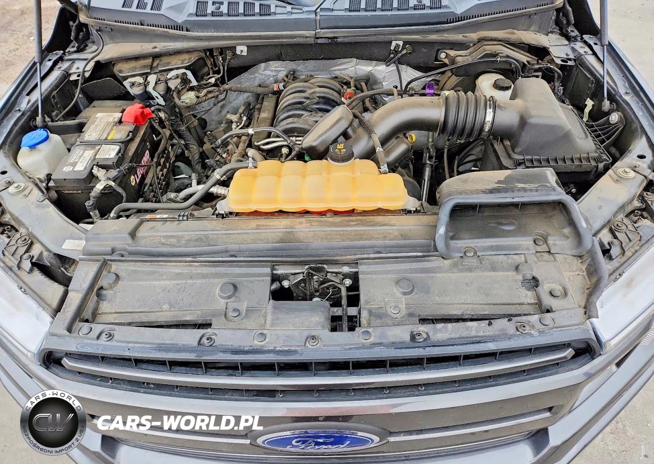 2018 Ford F150 Supercrew VIN:1FTEW1E52JKF04134 - 11