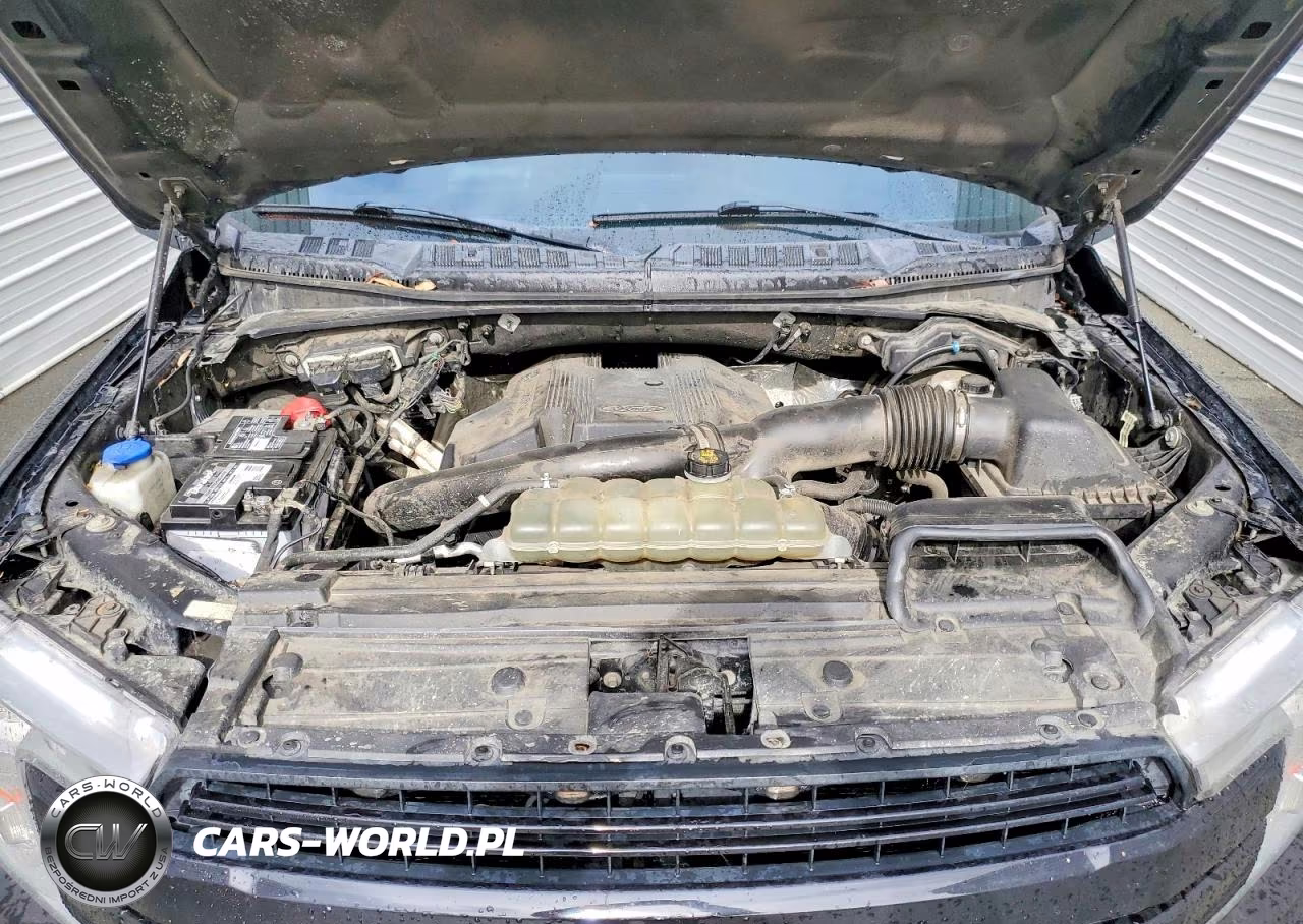 2019 Ford F150 Supercrew VIN:1FTEW1E45KKC44952 - 11