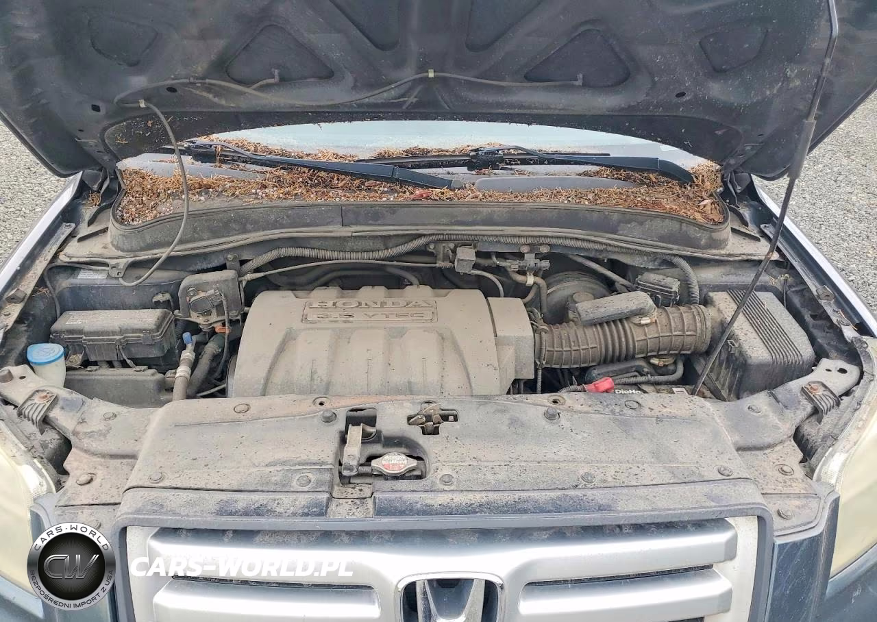 2006 Honda Pilot Ex VIN:2HKYF18416H528866 - 12