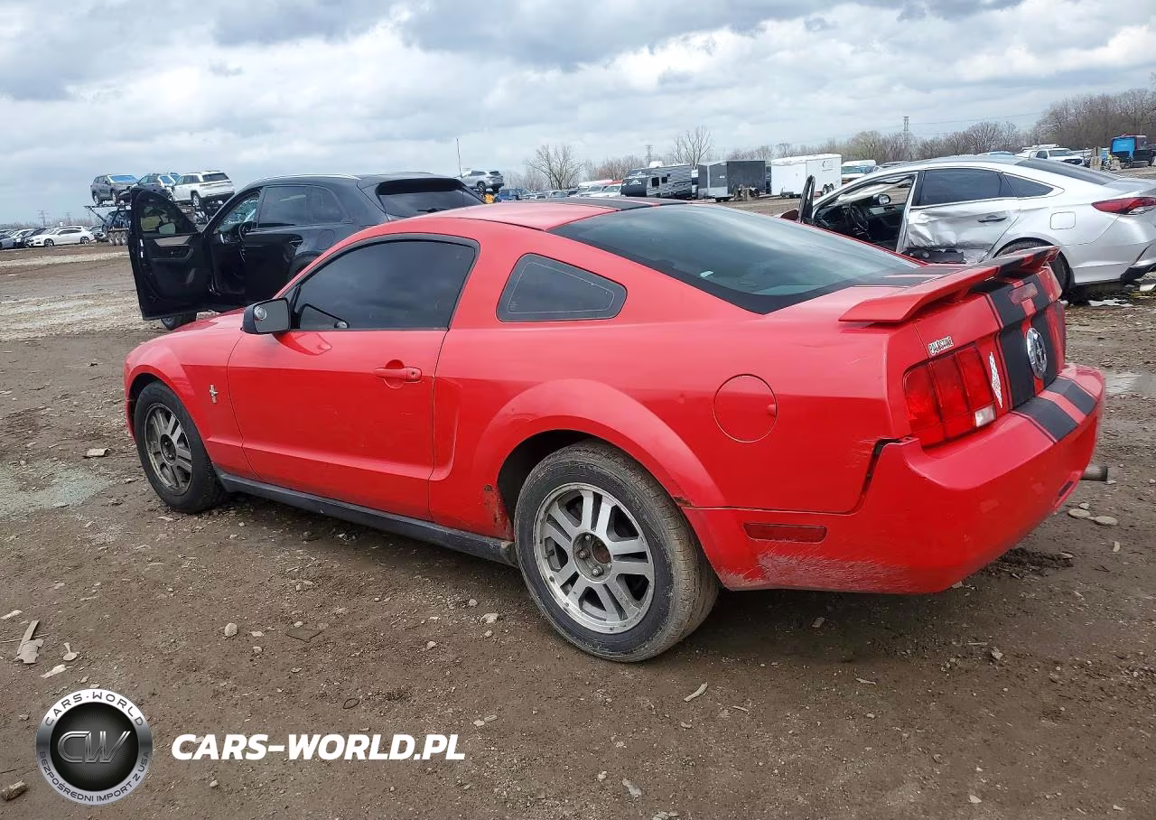 2006 Ford Mustang VIN:1ZVFT80N965155053 - 2
