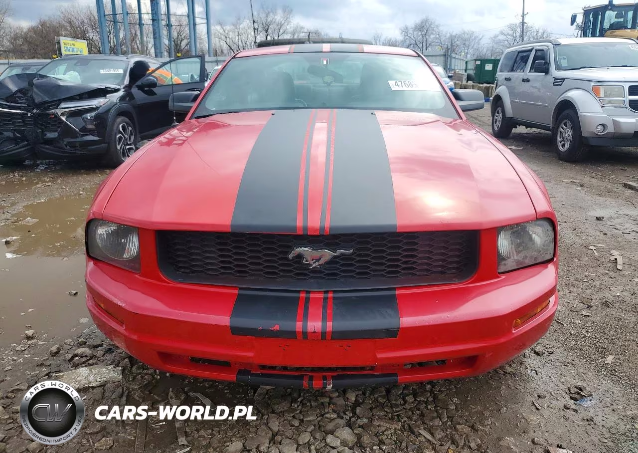 2006 Ford Mustang VIN:1ZVFT80N965155053 - 5