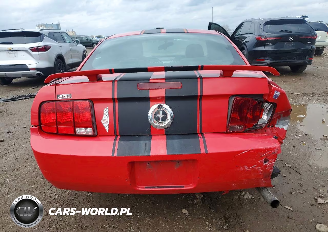2006 Ford Mustang VIN:1ZVFT80N965155053 - 6