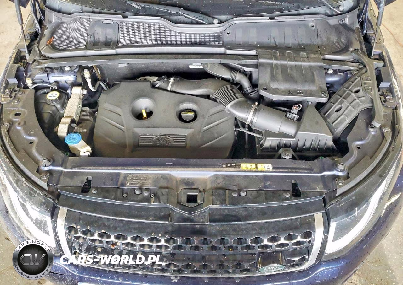 2016 Land Rover Range Rover Evoque Se VIN:SALVP2BG5GH129069 - 12