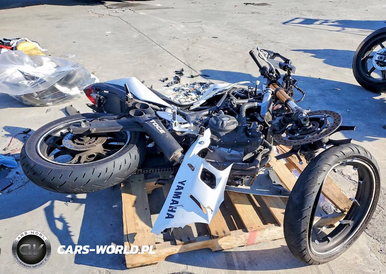 2019 Yamaha Yzfr3 A