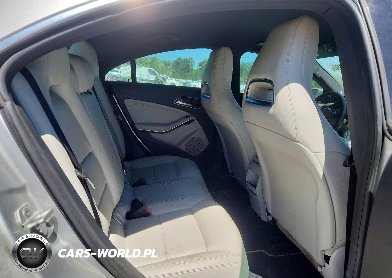 2014 Mercedes-Benz Cla 250 VIN:WDDSJ4EB7EN148508 - 10
