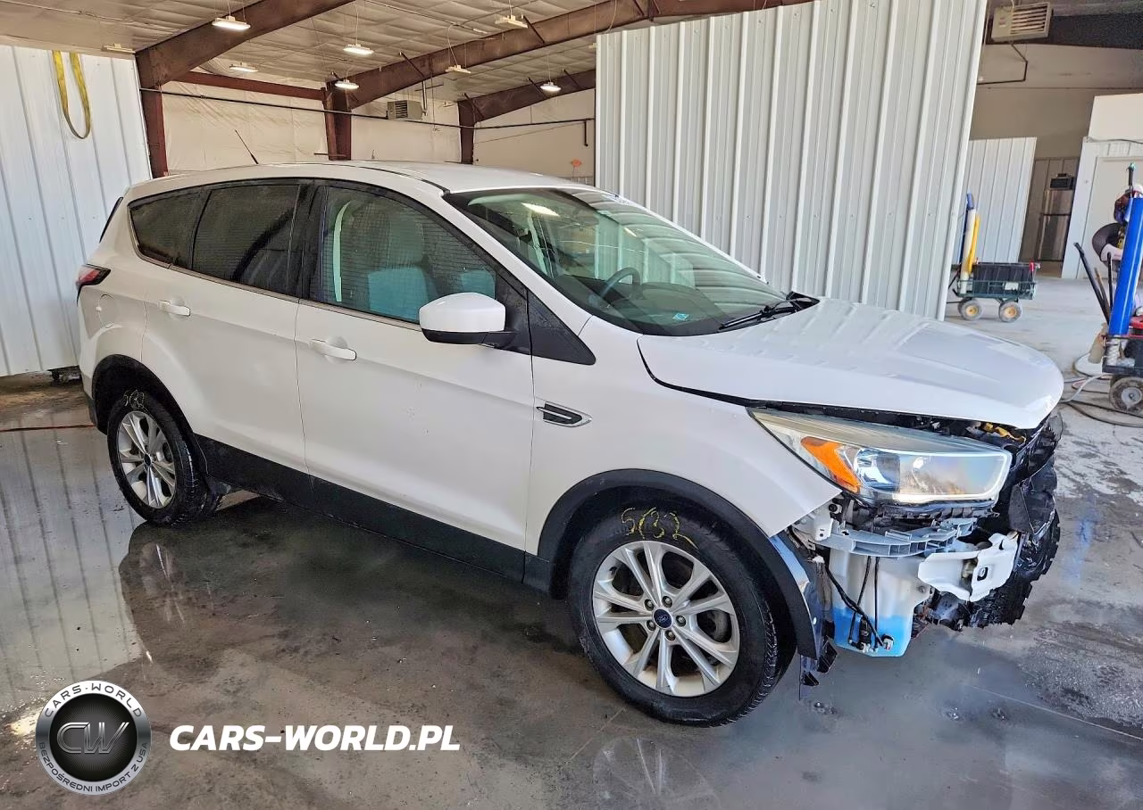 2017 Ford Escape Se VIN:1FMCU0GD3HUC62184 - 4