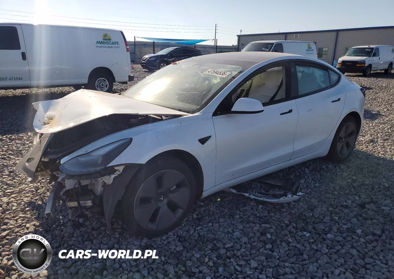 2021 Tesla Model 3