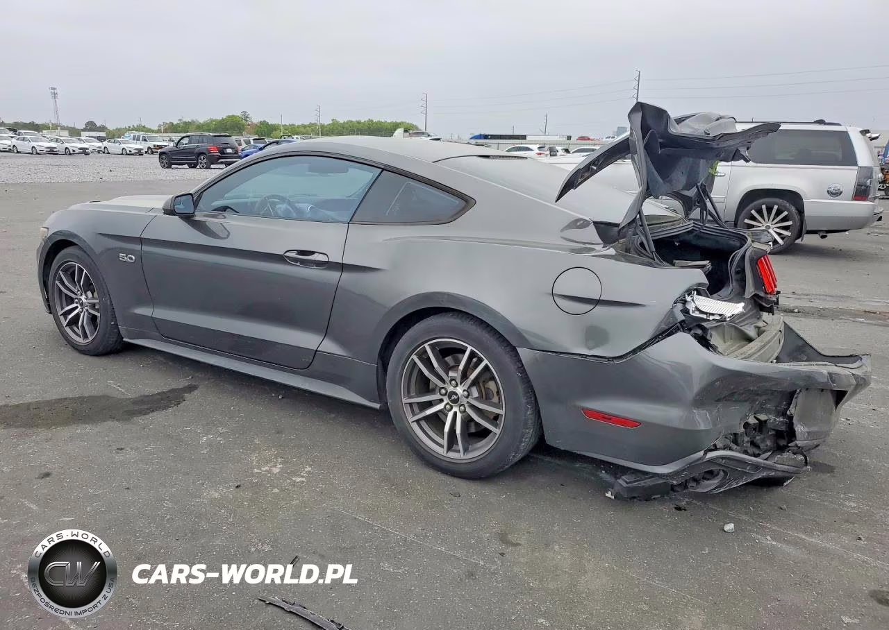 2017 Ford Mustang Gt VIN:1FA6P8CF0H5230260 - 2