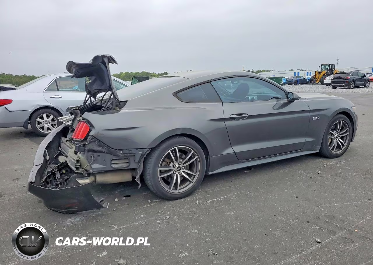 2017 Ford Mustang Gt VIN:1FA6P8CF0H5230260 - 3