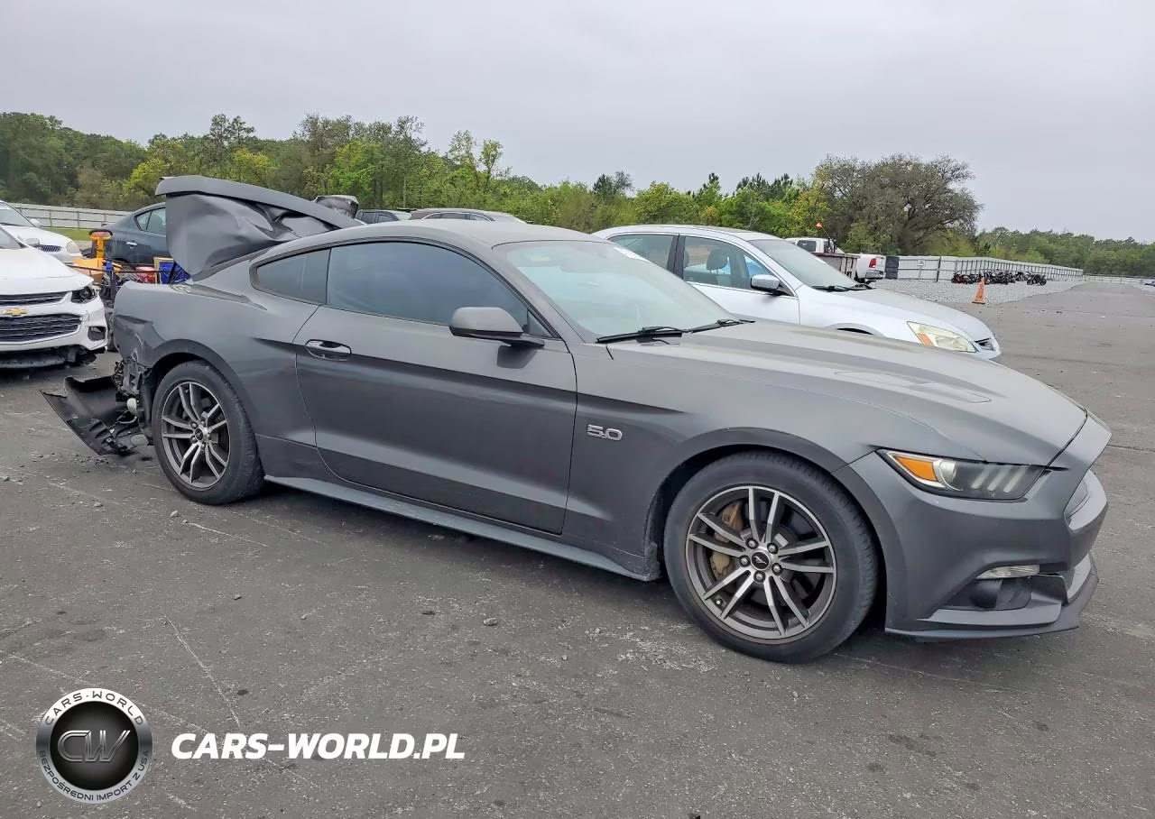 2017 Ford Mustang Gt VIN:1FA6P8CF0H5230260 - 4