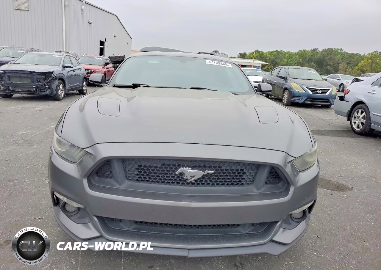 2017 Ford Mustang Gt VIN:1FA6P8CF0H5230260 - 5