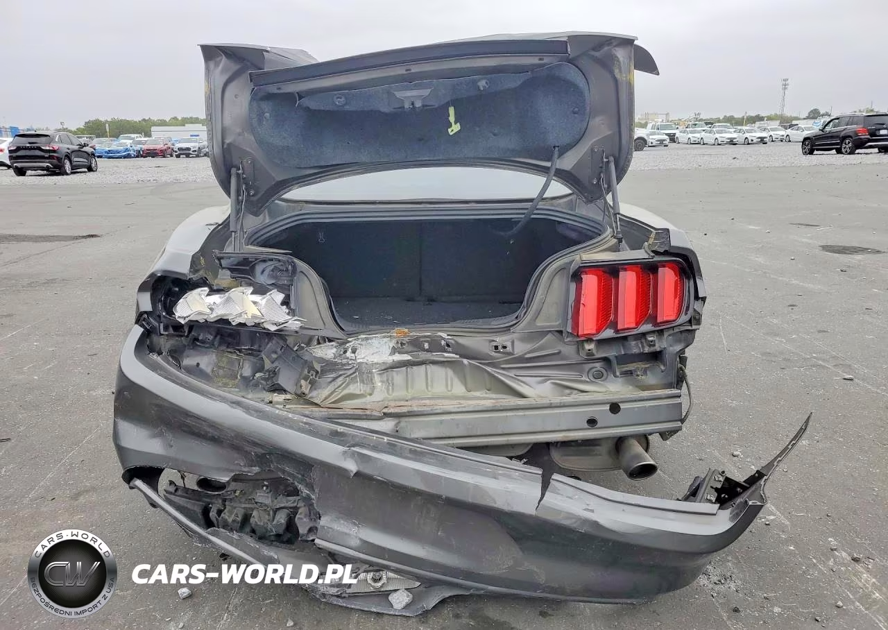 2017 Ford Mustang Gt VIN:1FA6P8CF0H5230260 - 6