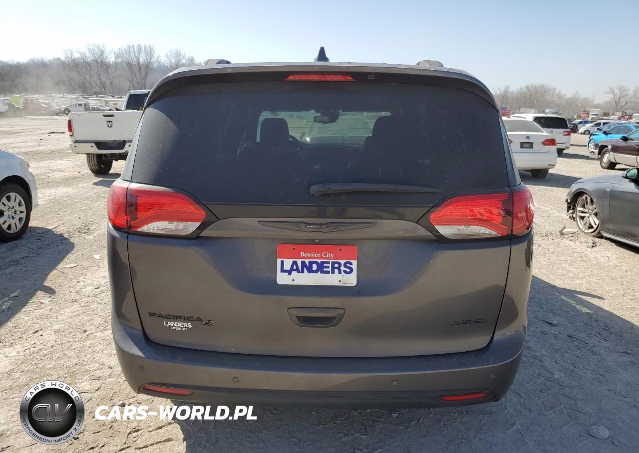 2020 Chrysler Pacifica Limited VIN:2C4RC1GG2LR250311 - 6